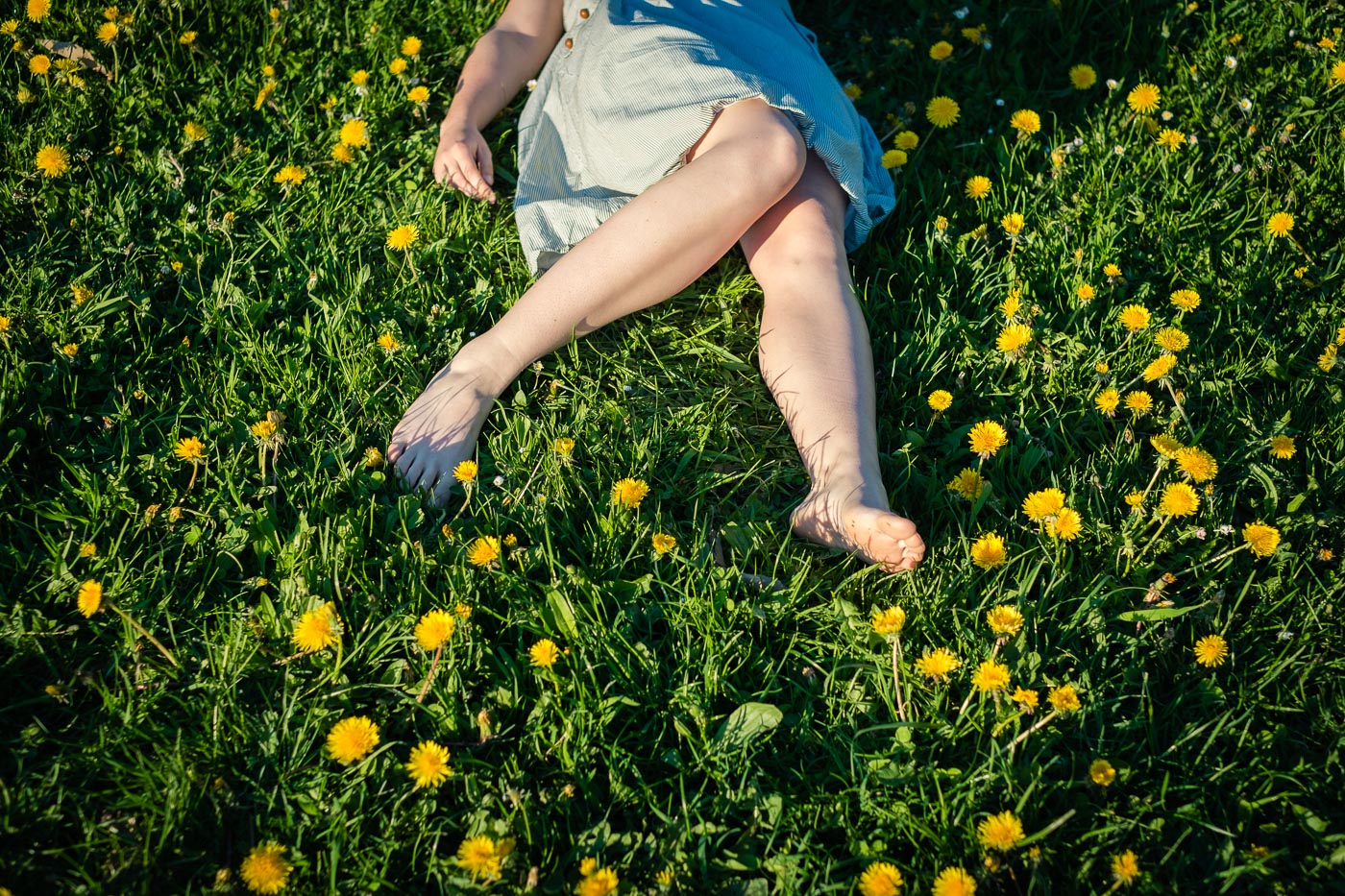 Young woman lying down in dandelion field in early spring.