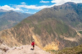 A lone hiker admires the view from the trail leading down into Colca Canyon from Cabanaconde to Sangalle, Peru, South America