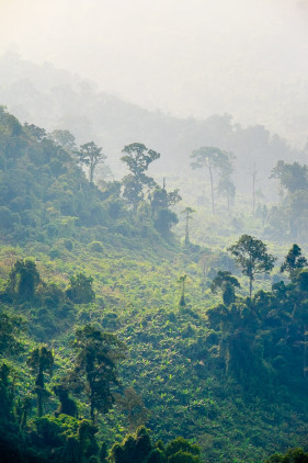Jungle landscape along Ho Chi Minh Highway West, Phước Sơn District, Quảng Nam Province, Vietnam