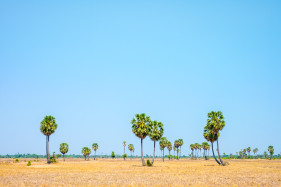 Cambodian landscape, Siem Reap Province, Cambodia