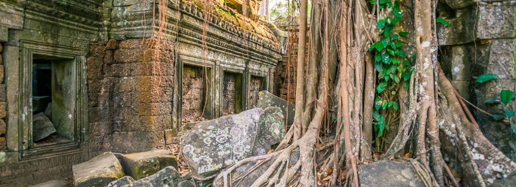 Ta Prohm temple ruins, Angkor, UNESCO World Heritage Site, Siem Reap Province, Cambodia