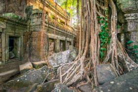 Ta Prohm temple ruins, Angkor, UNESCO World Heritage Site, Siem Reap Province, Cambodia